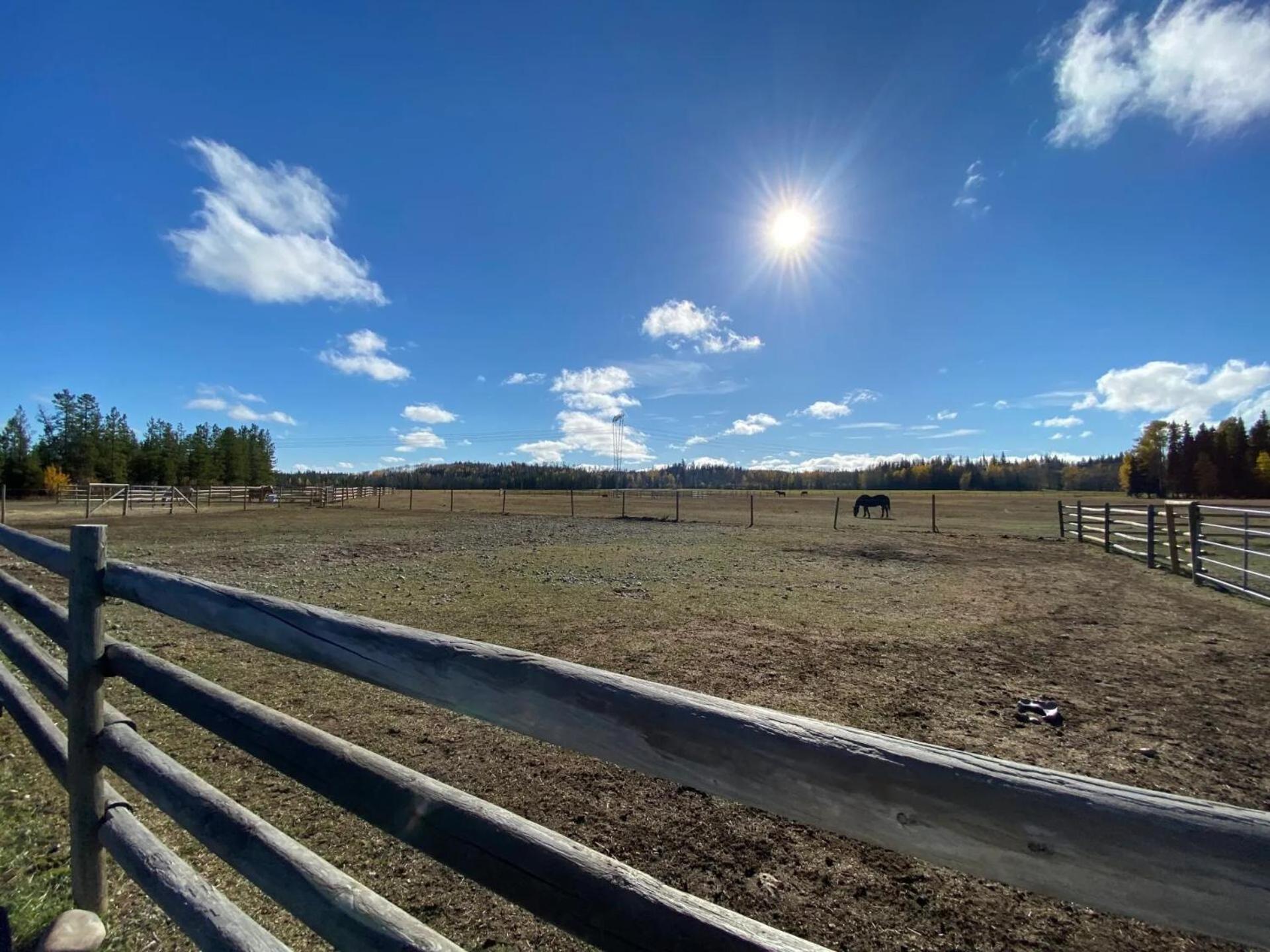 Woodhouse Cottages And Ranch Prince George Exterior foto